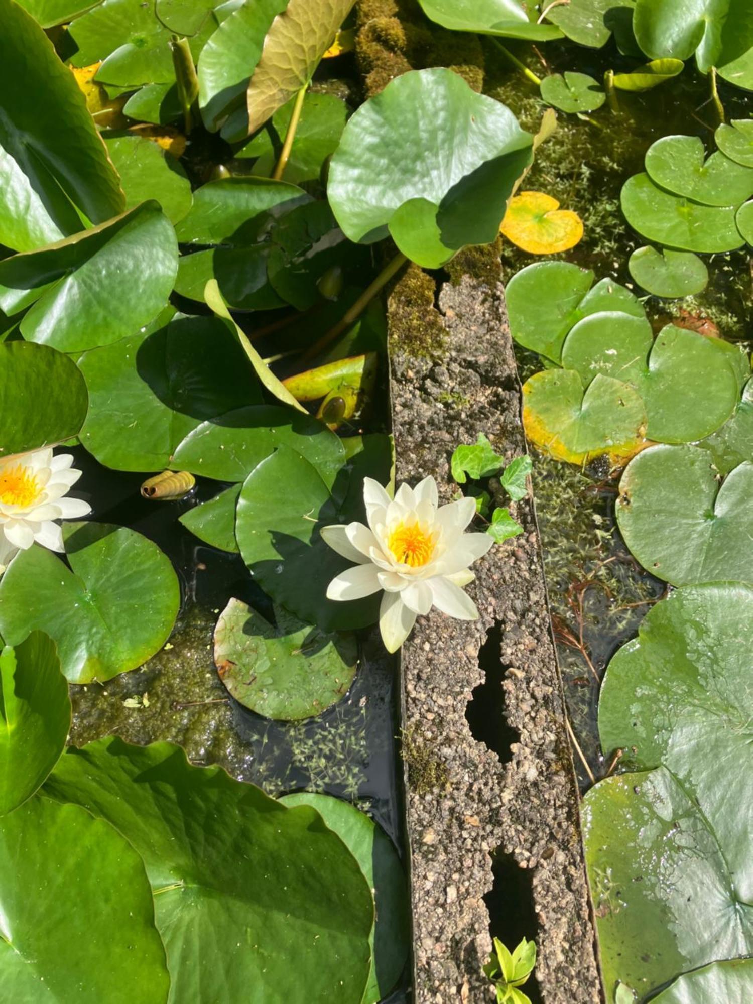 HerryAutour Des Vignes住宿加早餐旅馆 外观 照片